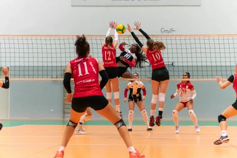 Rikthehet kampionati i rrjetës
